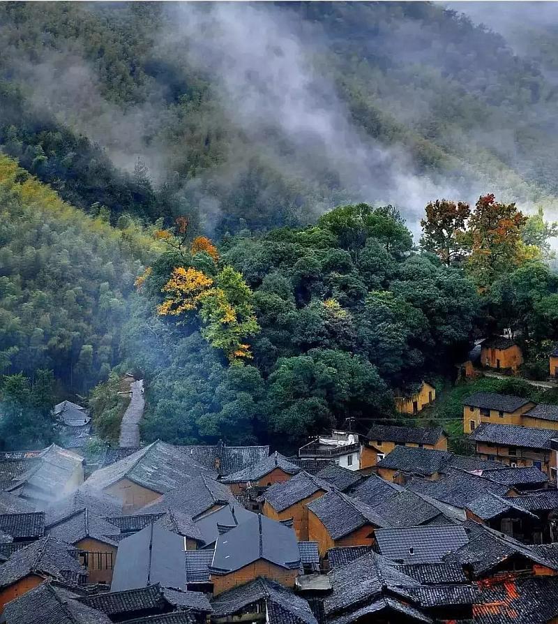 今年的戛纳红毯，你更喜欢谁的红毯造型？游戏画面
