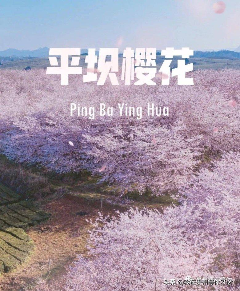依维柯卡车拼拼看