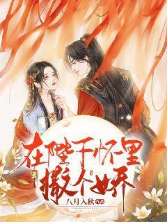 豪爵踏板车UC+R100大灯是进口的吗？游戏画面
