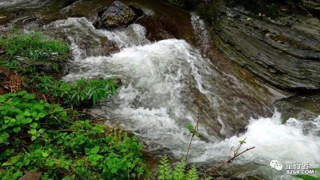 黑豆黑芝麻怎样吃法游戏画面